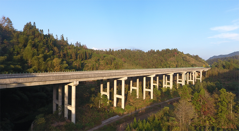 亚洲精品V天堂中文字幕