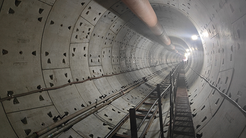 亚洲精品V天堂中文字幕