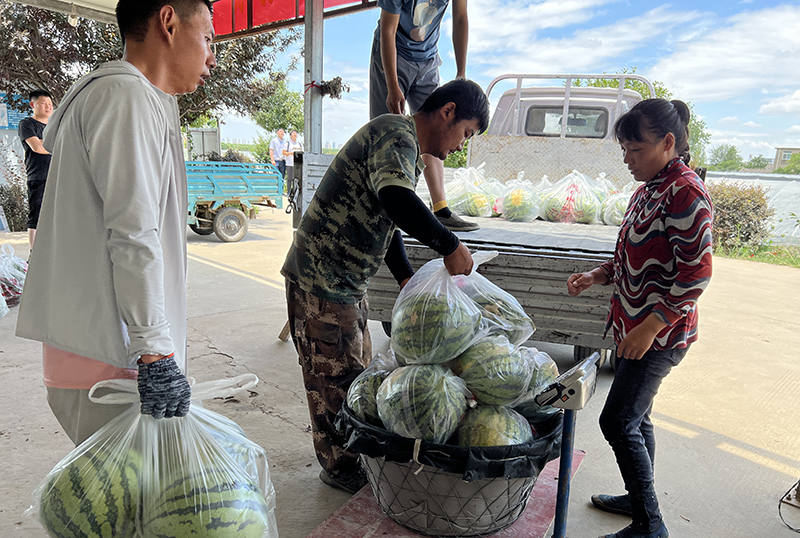 亚洲精品V天堂中文字幕