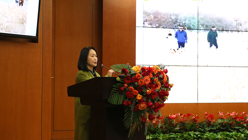 亚洲精品V天堂中文字幕