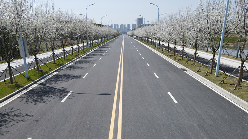 亚洲精品V天堂中文字幕