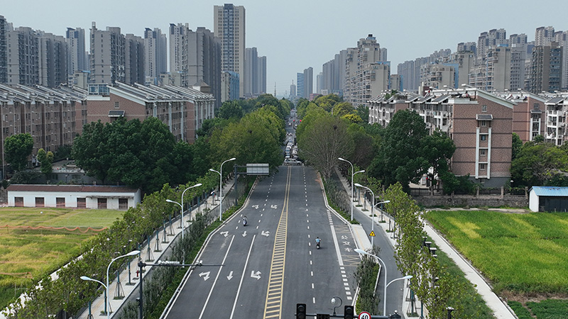 亚洲精品V天堂中文字幕